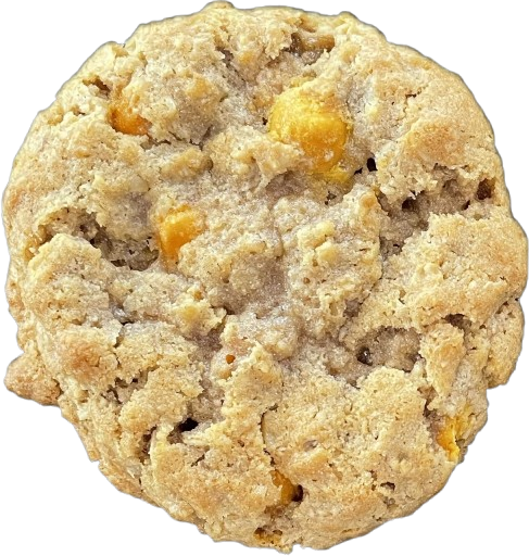 GF- Oatmeal Butterscotch Cookie